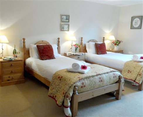 Large ground floor twin bedroom with wet room ensuite